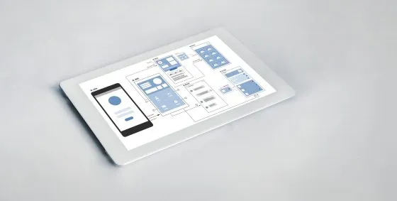 Dezvoltare Aplicații Business